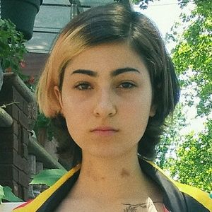 Meet your Posher, Phoebe